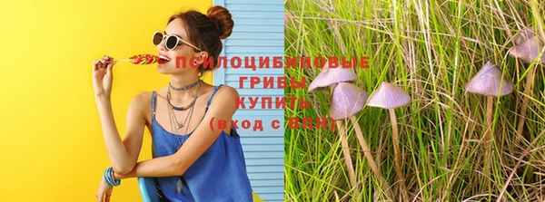 сатива Алзамай